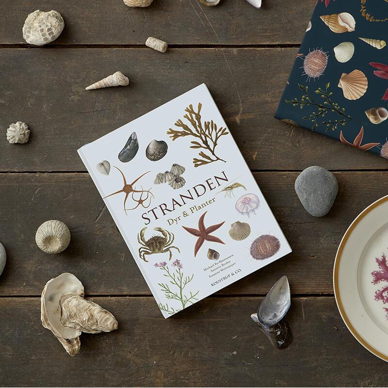 Bog: Stranden Dyr og Planter