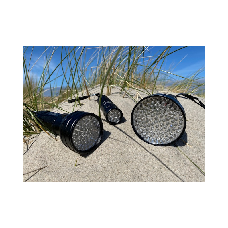 Ravlygte starter pakke familesæt