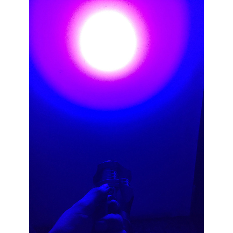 Amber Eye Gold - 30W