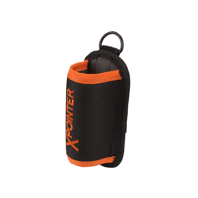 Quest X Pointer land