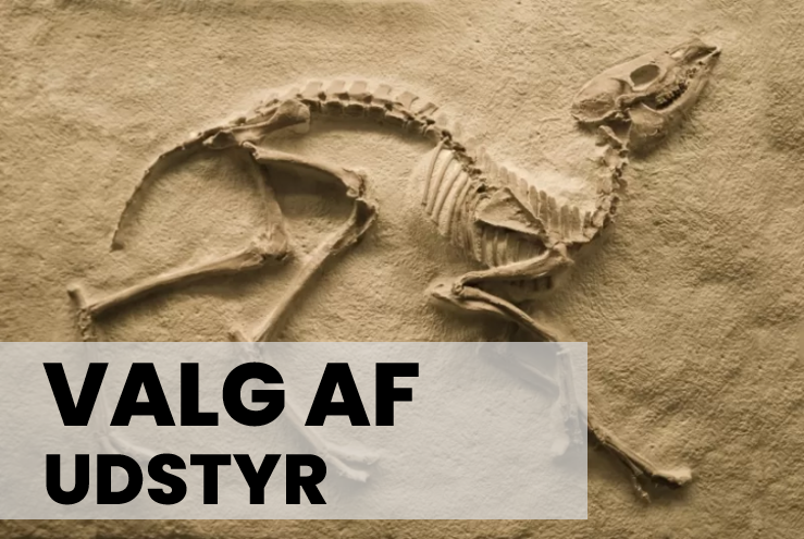 Fossil- og stenjagt